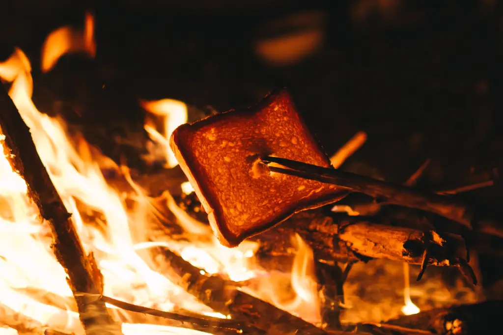 Toasting Bread Over a Camp Fire