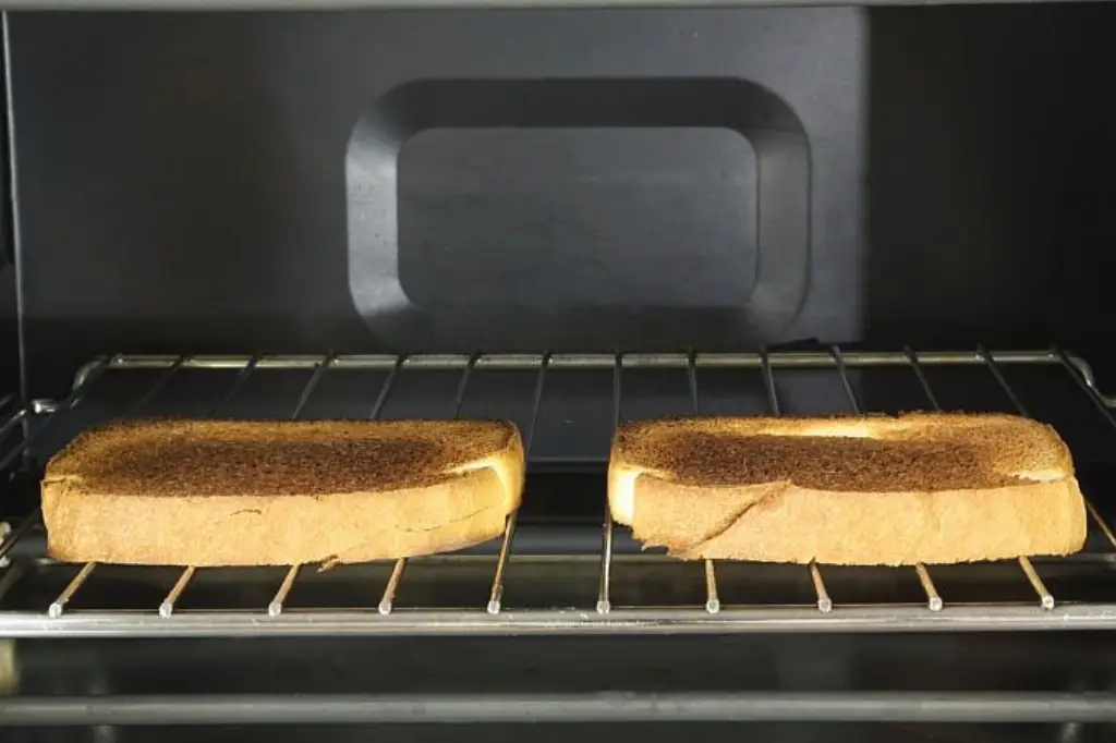 Two toasted pieces of bread on a toaster oven rack.