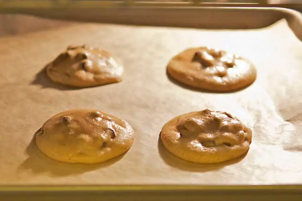 Chocolate chip cookies baking in a toaster oven.